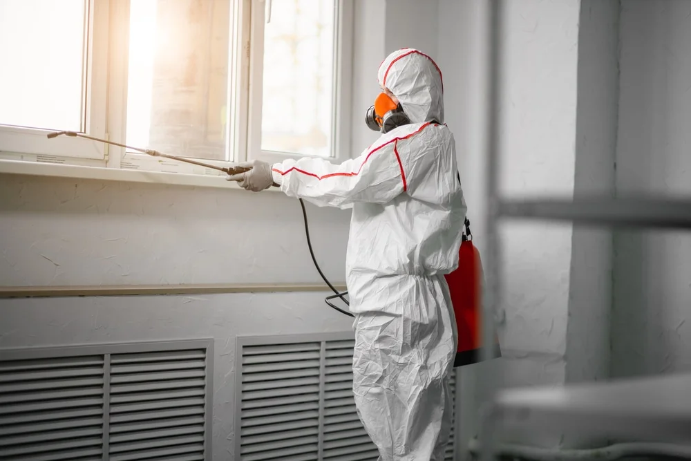Professional mold remediation services in Acworth, GA